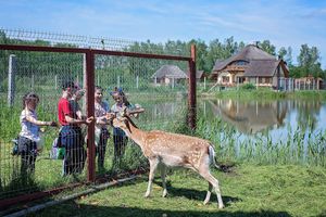 Edukacja regionalno-przyrodnicza nad stawmi w Rudzie Żmigrodzkiej